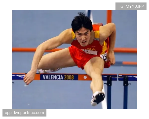 刘翔当年退赛那会儿，广告费都够买半条南京路了